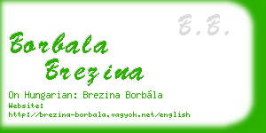 borbala brezina business card